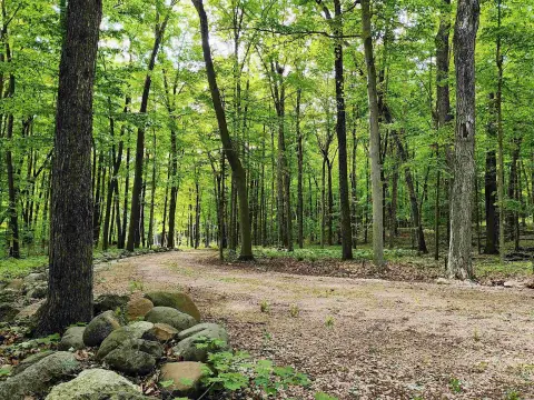 Forested Acreage with Building Site