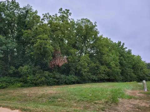 Wooded Land in Lake Carroll