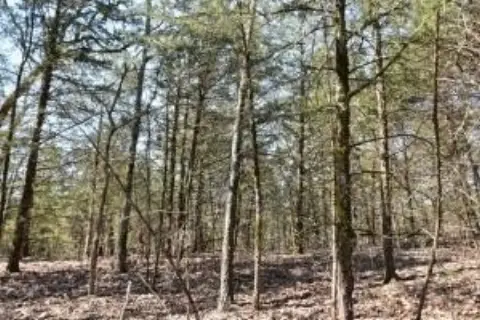 Recreation Land with Mature Timber