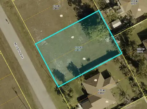 Residential Lot in Cape Coral
