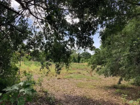 Spacious Land in Kissimmee, FL