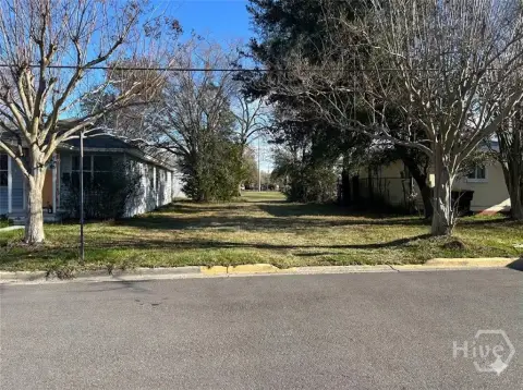 Residential Lot in Downtown Savannah