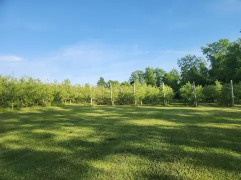 Hillsboro Orchard with Irrigation Well