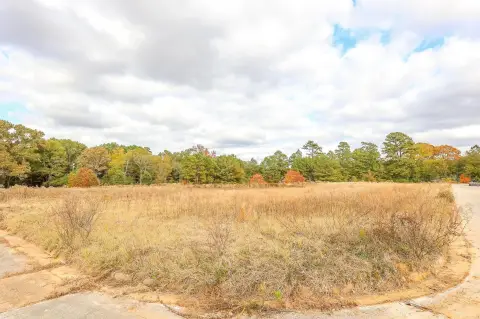 Road-Frontage Commercial Land Parcel