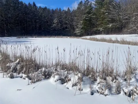 20.6 Acres with Stocked Pond