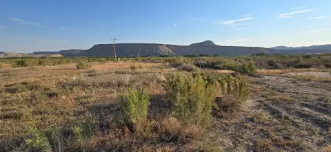 Corner Commercial Lot