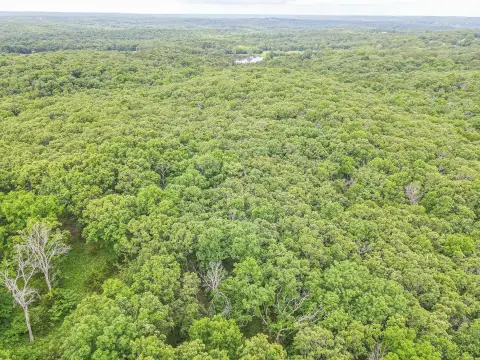 Heavily Wooded 25-Acre Land Parcel