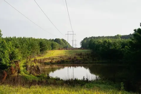 Hunting Land with Paved Road Frontage