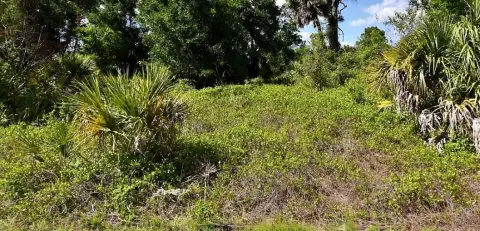 Residential Vacant Lot for Build