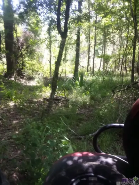 Unimproved Land in Walker, LA