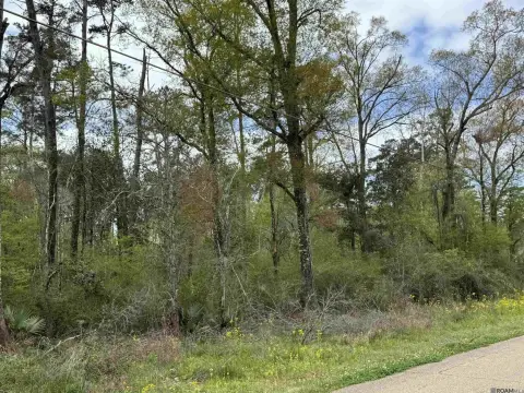 Denham Springs Oversized Acreage Lot