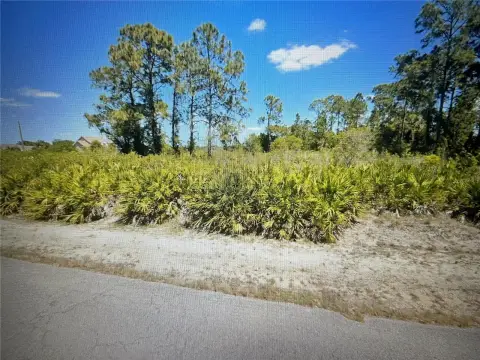 Half-Acre Lot in Lehigh Acres