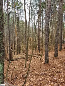 Heavily Wooded Spartanburg Acreage
