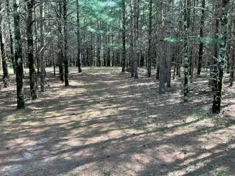 Gated Hunting and Recreation Land
