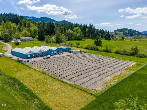 Turnkey Cannabis Greenhouse Facility