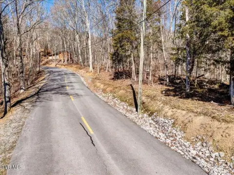 Wooded Lot in Lakeside Community