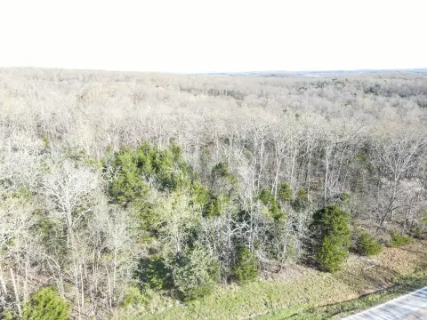 95 Acres of Wooded Land