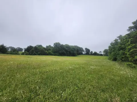 31 Acres Near Hartville, MO