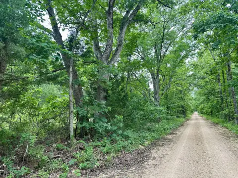 Ozarks Land with Forest Access