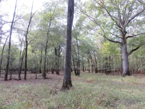 Recreational Land with Cabins