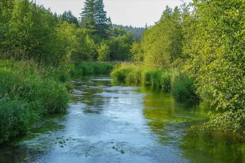 Riverfront Acreage With Historic Rail Grade