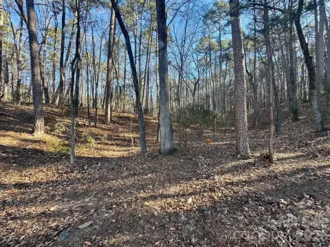 Albemarle Wooded Acres Opportunity