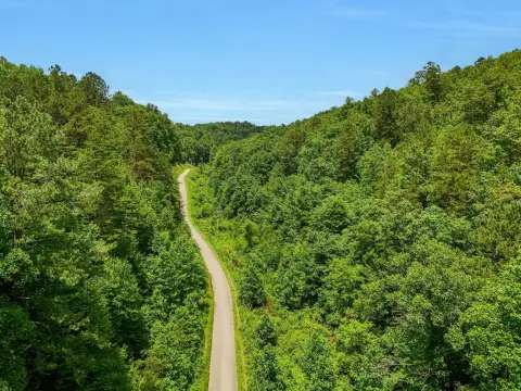 Wooded Hunting Land