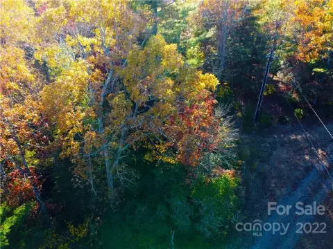 Level to Gently Sloping Lot