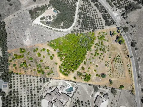 Avocado Grove Agricultural Land
