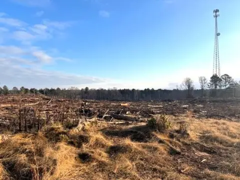 Land with Road Frontage and Creek