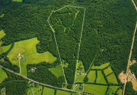 Wooded Hunting & Recreation Land