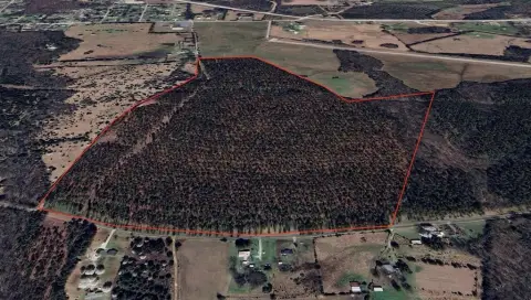 Timber and Hunting Land with Road Frontage