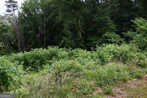 Residential Development Lot
