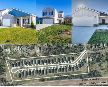 Kingsport Multifamily Detached Rental Homes