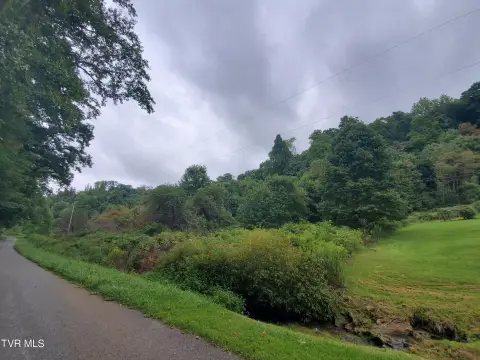 Roan Mountain Land For Sale