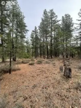Wooded Acreage in Goldendale