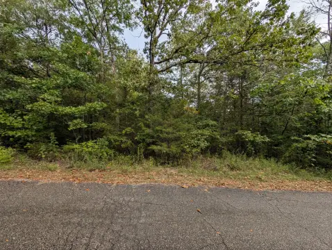 Residential Lot in Shell Knob