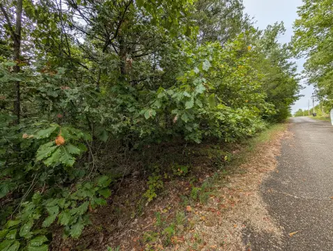 Residential Lot in Shell Knob
