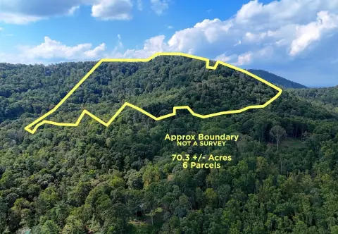 Expansive Wooded Acreage in Asheville