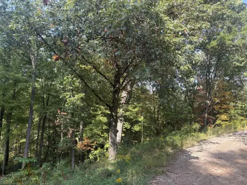 Norton Shores Land Opportunity