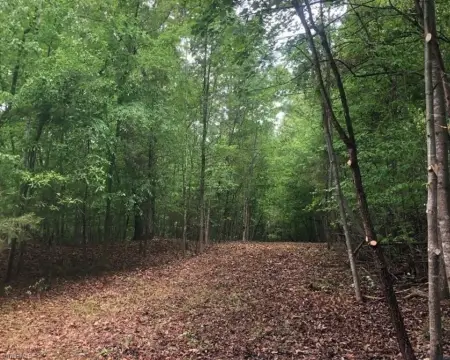Pfafftown Land Parcel For Sale