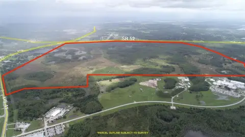 Pasco County Conservation Land