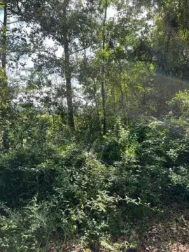 Waterfront Land Lot