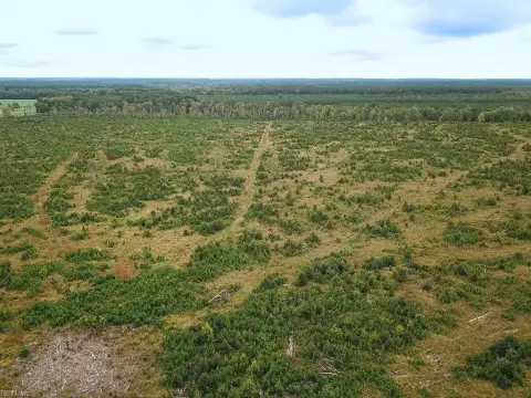 Hunting Land with Interior Roads