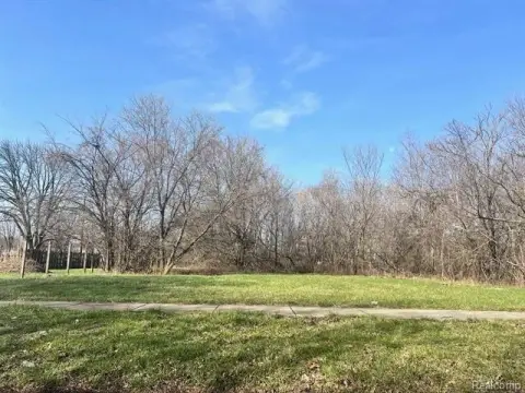 Detroit Land Opportunity Near Downtown