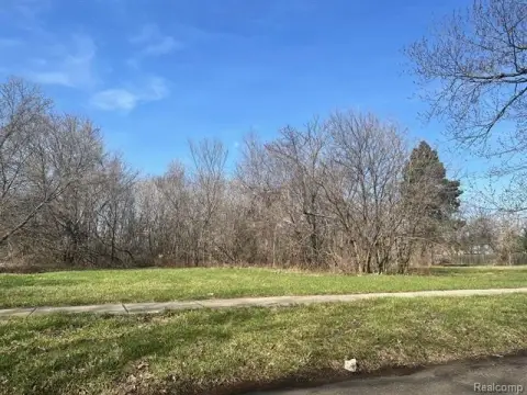 Detroit Land Opportunity Near Downtown