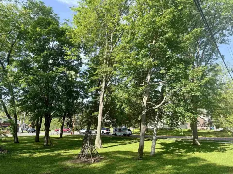 Baraboo Vacant Residential Lots