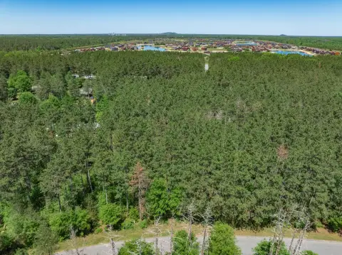Wooded Lot Near Castle Rock