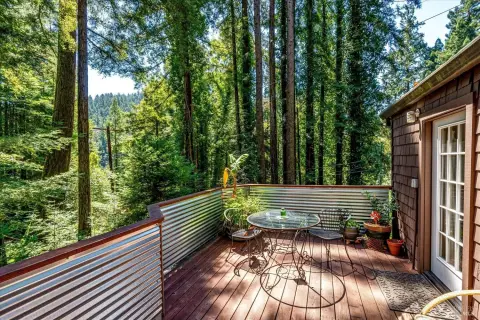 Dual-Home Duplex Property