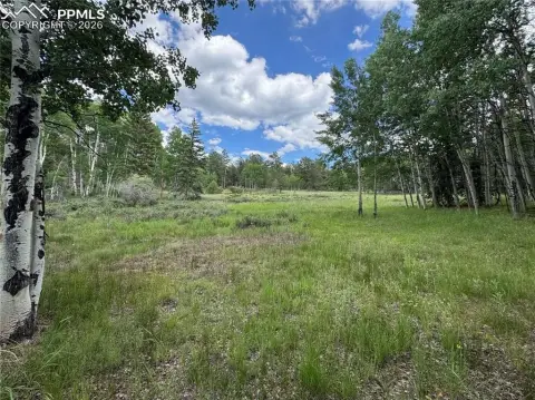 Land in Lake George, CO